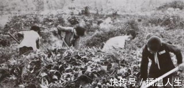 绝迹|宝塔糖的绝迹,是我国制药史的一个悲剧,它的消失意味着什么?