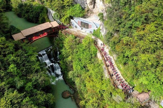 低薪|研学旅行 走进自然大课堂