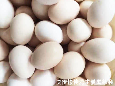 蛋壳|营养美味的鸡蛋，可以做出多种美食，可与多种食物搭配