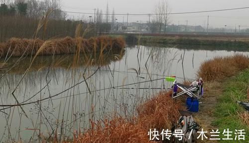 实战|初冬钓鲫鱼,不是钓得越远越好,实战告诉你,使用短竿也能连竿!