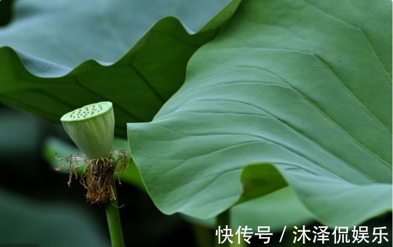 钱财|明天开始，桃花临身，钱财大赚，3大生肖事业爱情一个都不缺