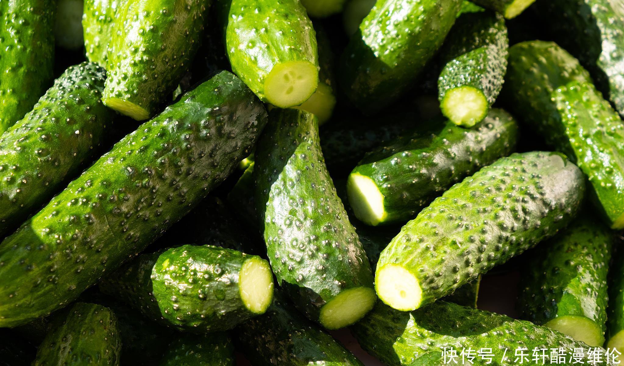 鲜嫩|明天端午节,“5鲜”不可少,价格便宜又应季,口感鲜嫩营养高