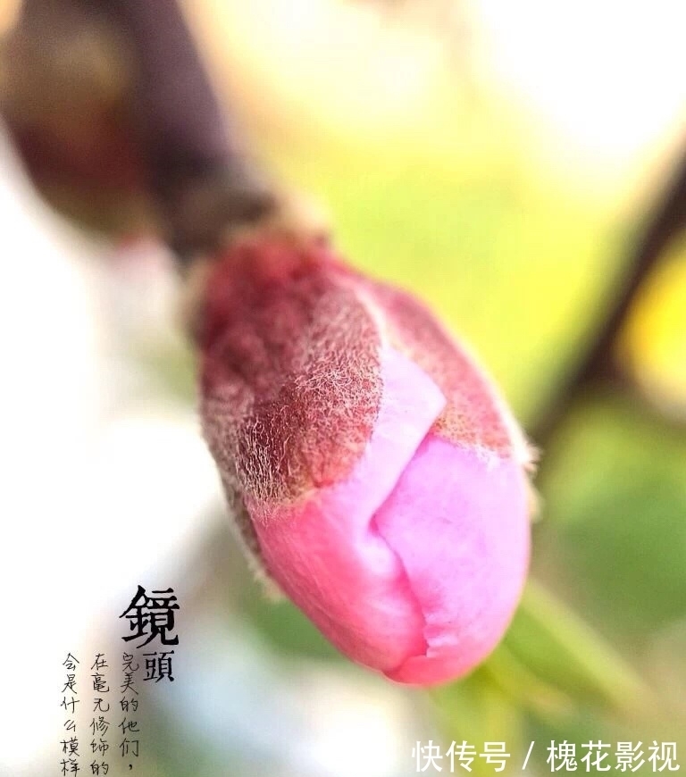 喜结良缘|接下来红娘牵线，喜结良缘，桃花袭来，月老助力，旧爱回首