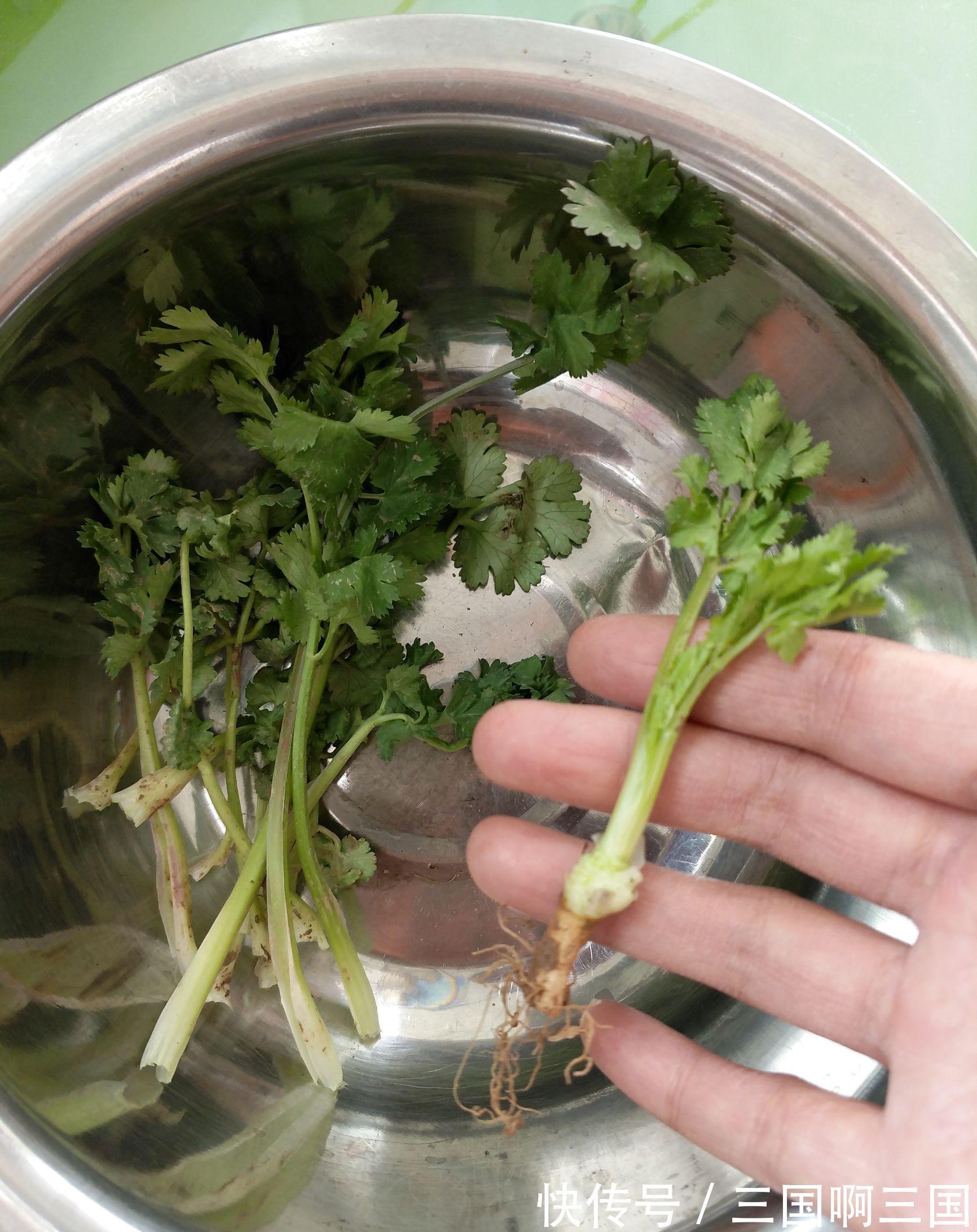 4种“小菜根”，吃完不要扔，埋在花盆里，半个月又长出新蔬菜