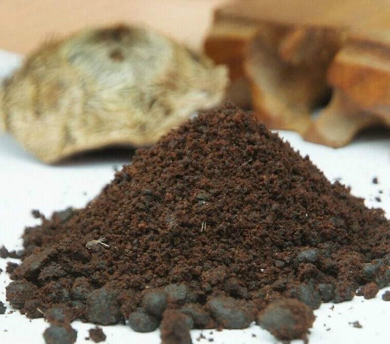 奇迹|中医史上的奇迹,中国第一救命药,把无数中风患者拉出鬼门关!