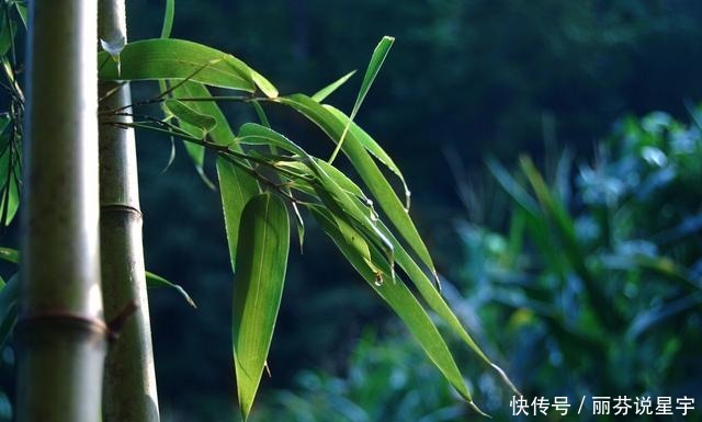 朵百重衣|伟人毛泽东的《七律答友人》,友人是谁?这位友人不简单却很低调