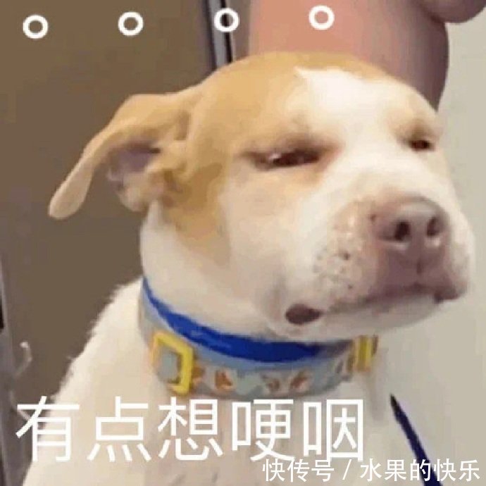 |搞笑GIF：这步子还能迈的再小一点吗？