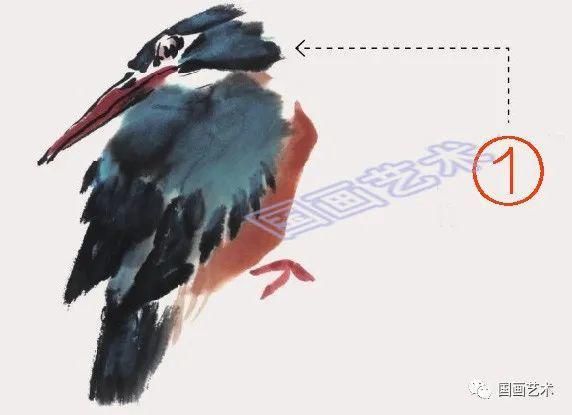  绘制出翠鸟|图文教程：轻松学画黄鹂、翠鸟