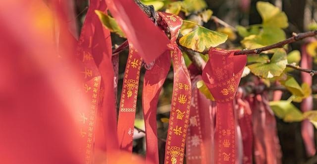 秦岭深处这棵千年银杏，不用预约，不输古观音禅寺