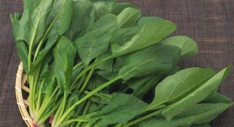 人到中年|人到中年想长寿 ,3种蔬菜换着吃,营养丰富,清热解毒,补气血