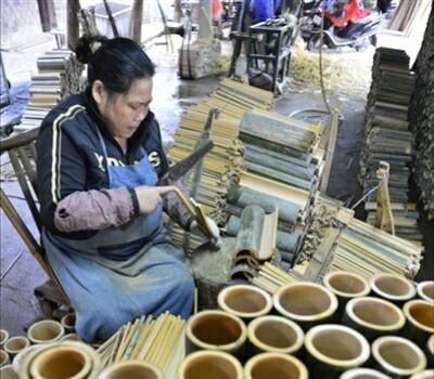 楠竹在农村可卖440元吨 而农民宁愿当柴烧也不卖钱 是何因 快资讯