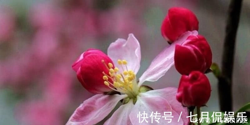 伤感#李商隐的这首《花下醉》,也是难得的名篇,表达了一种无奈的人生