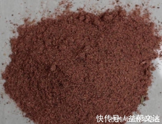 想钓大鲫鱼,饵料里不能少了“它”,一下子就一条,新手也能爆护