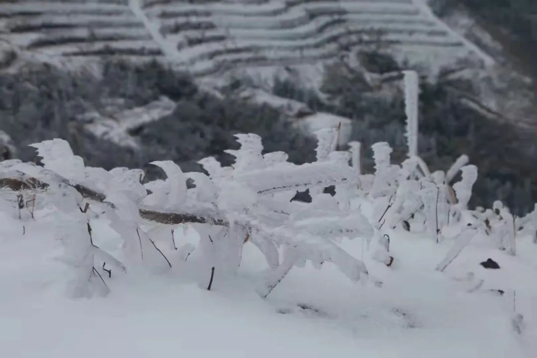 千古神话|千古神话! 天台的天姥山上冰雪等你一万年!