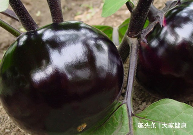 盐水泡|蔬菜不是吃得越多对身体越好,3种蔬菜建议少吃,潜藏很多安全隐患