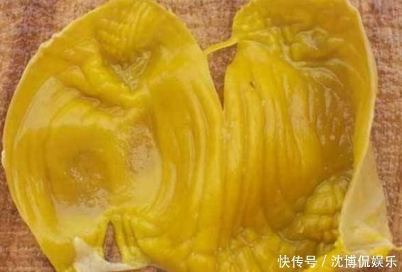 “消化功臣”鸡内金连石头都能消化,人吃了会发生啥中医来揭秘