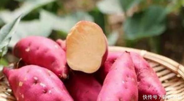 医生|每天拿红薯当早餐,身体发生的4个“变化”,让医生都惊喜
