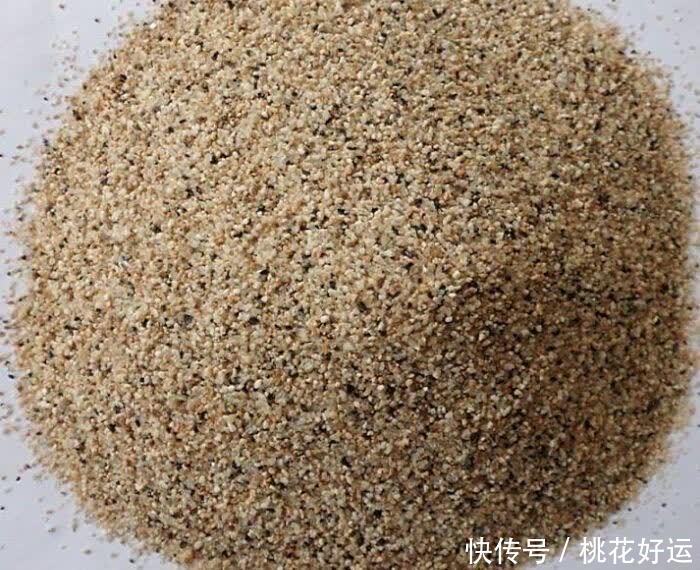 鸡蛋壳|家里4种不起眼的东西拿来养花,土壤更疏松,花花长得更快更好