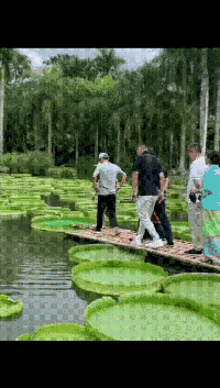 |搞笑GIF段子：原来妹子穿高跟鞋不仅仅是为了增高，还有这个用途啊