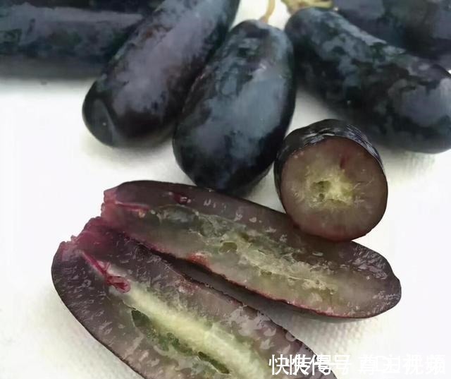 伙伴们|家有院子别空着,此树种几棵,耐寒耐旱,而且吃不完!