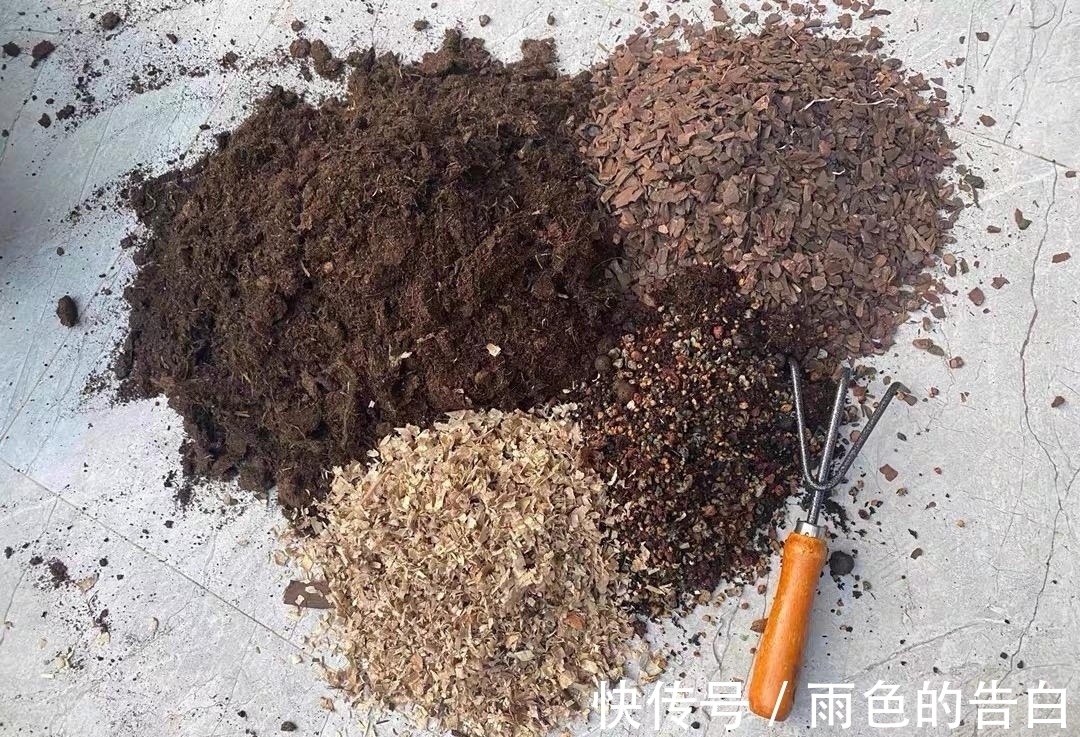 养多肉必备营养土，6种土，多肉常用，了解作用以及使用方式