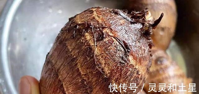 差别|买芋头,究竟是芋头母好还是芋头子好,老菜农别吃错,差别很大!