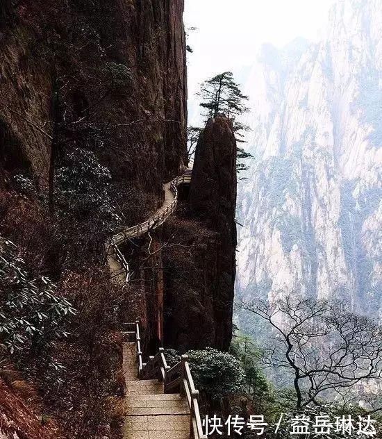 太美了，世界照片今天终于传来，罕见至极，一睹为快