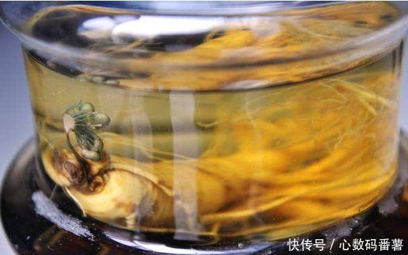 人参还有这些服用方法,你不能错过