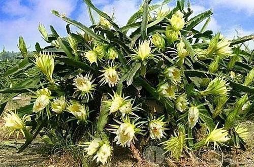 春冬|人到中年,不妨多吃三种食物,疏通血管,推迟衰老,谁吃谁健康