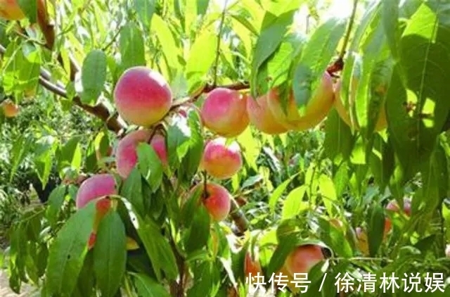 白露&十八首写意应景诗,总有一首你会喜欢