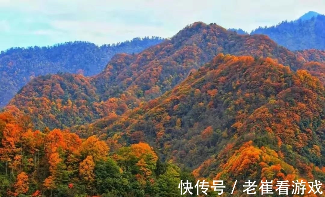 染红|赏红叶、拍美照、邂逅山间“精灵”，这地方只美一个月，速来