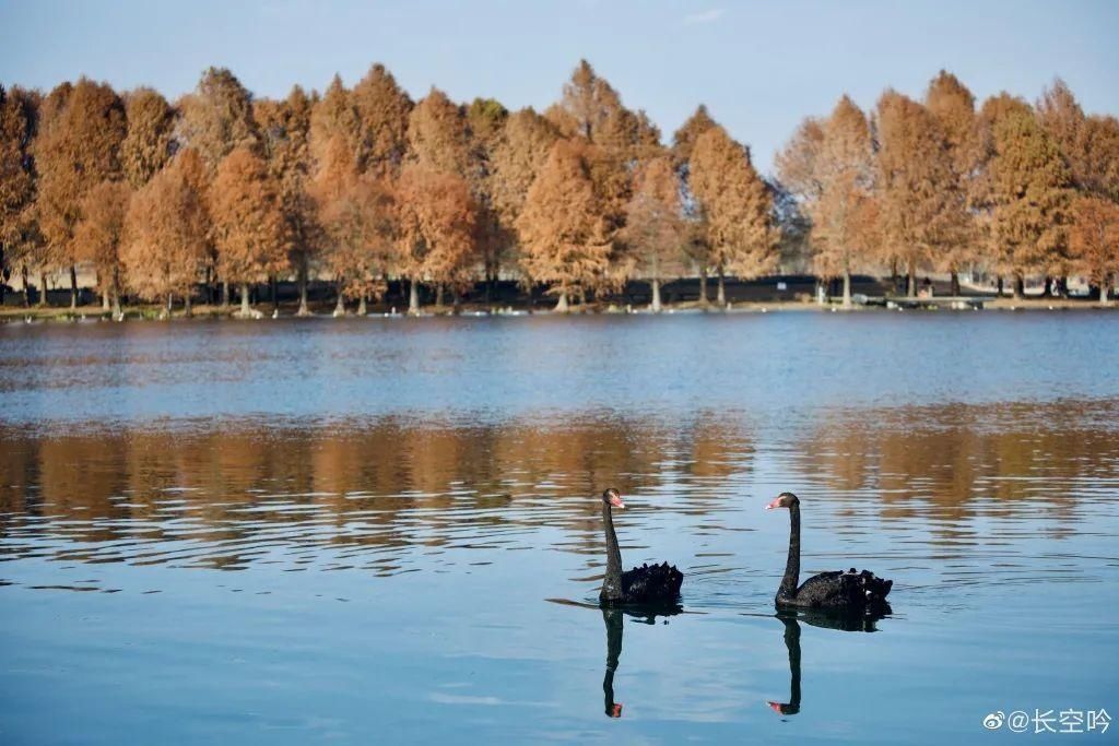 老年|留松过大年丨松江这些红红火火的地方，你去打卡了吗？