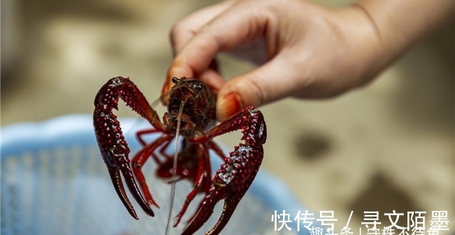 23个冷知识：容易被人忽视，但除了有趣也没什么用