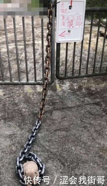 段子|搞笑GIF段子:妹子,我还真是服你了!网友们给想个办法吧