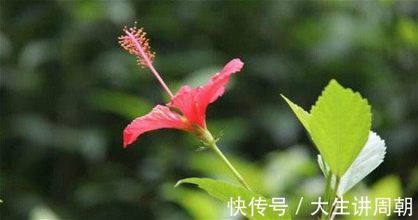 回家过年&花有信,等风来……一支笔写出花开花落、百味杂陈的人生