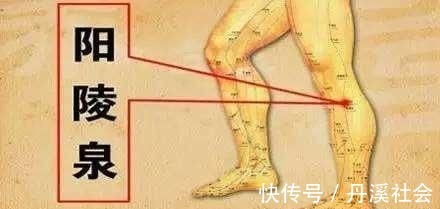 膝盖骨|健不健康根据腿就可以清楚,常揉3处,气血足,腿脚好