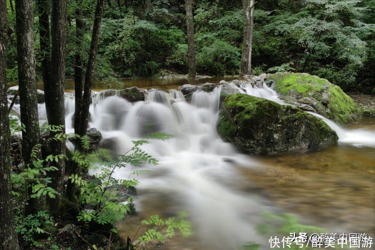 景区|探访牛背梁国家森林公园，植被繁茂，瀑布壮观，避暑胜地