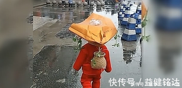 竹篓|雨天宝宝非要出去耍,然后就成了这样,网友:要“登基”啊!