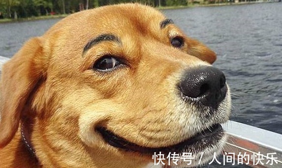 |10条超搞笑的段子,忍不住笑出声来(太好玩了)