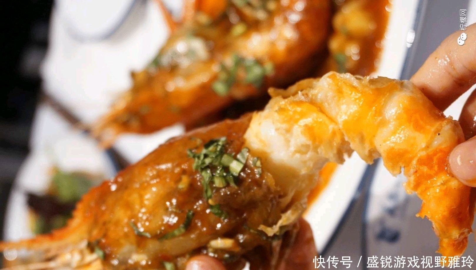 苏州|巨虾来袭?苏州钓鱼人汾湖钓起“大虾王”,钓友:太大了还能吃吗