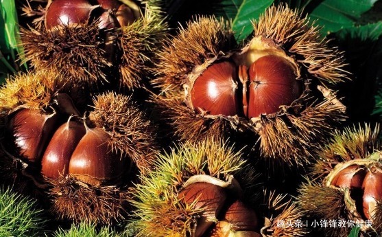 脾胃|长寿老人爱吃的此种食物,保健脾胃、治疗腰腿酸疼,早知早受益