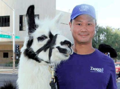 互联网|互联网卖鞋20年：中国为什么没有Zappos？