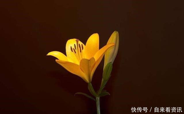 三件|做好这三件事,家庭的幸福不请自来