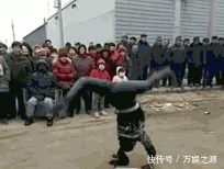 美女|高仿佟丽娅小姐姐好漂亮,大爷你这样看一幅美女画不太厚道吧