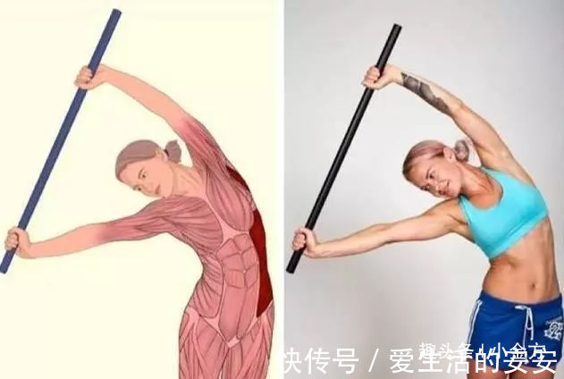 肌肉|终于找到了,这套全身拉筋3D图解,打通全身经络,太难得了