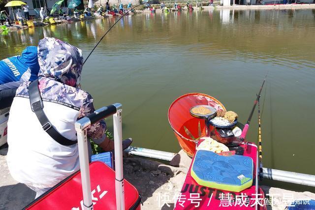 饵料|秋季钓鱼时,鱼口主要受到哪些因素影响秋季钓鱼改善鱼口的方法