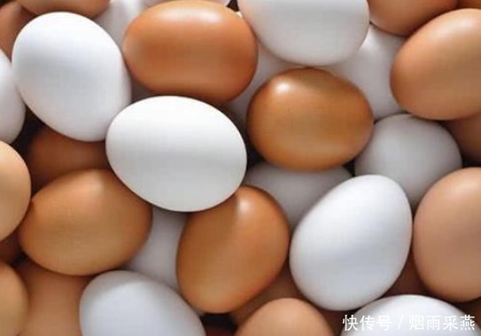 买鸡蛋,白壳比红壳好?养殖场大婶告诉你,牢记2点不被忽悠