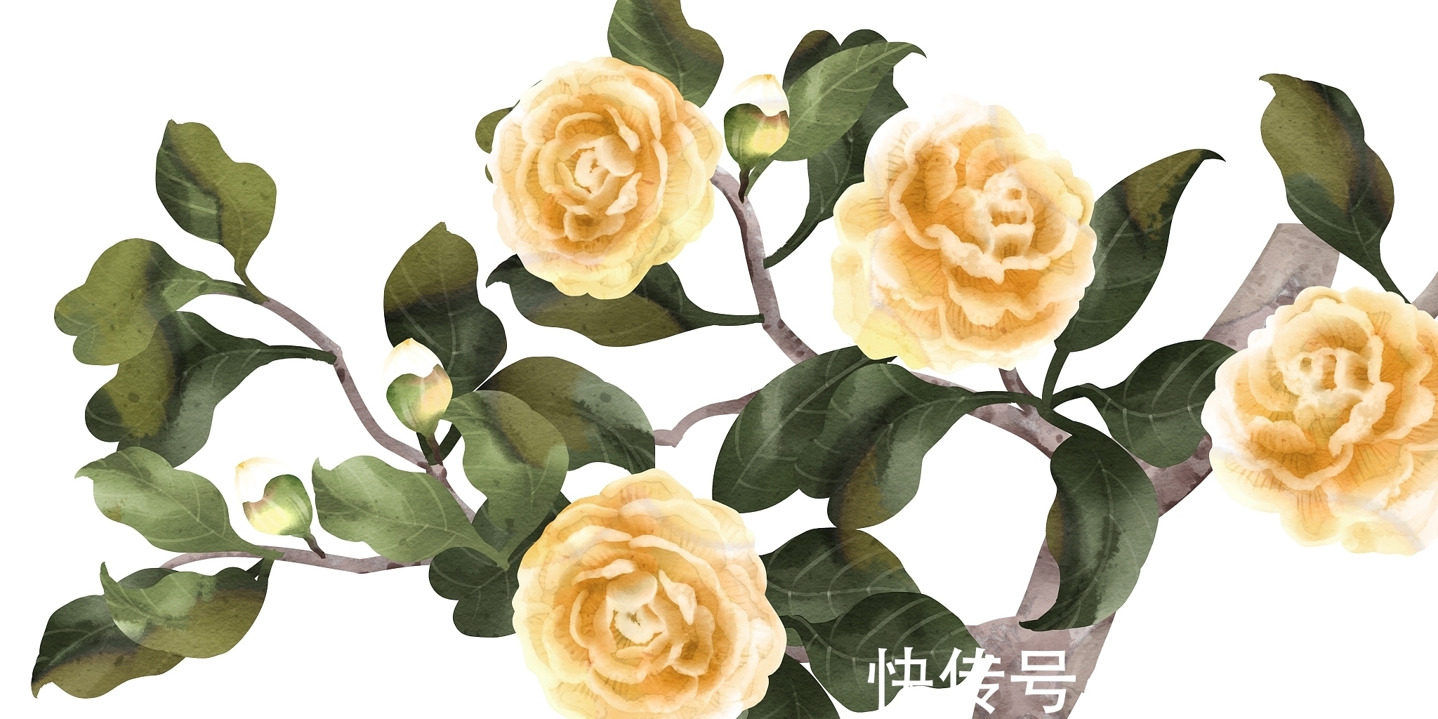 对韵&十大名花对韵:春来我不先舒蕊,雪里凭谁敢放花