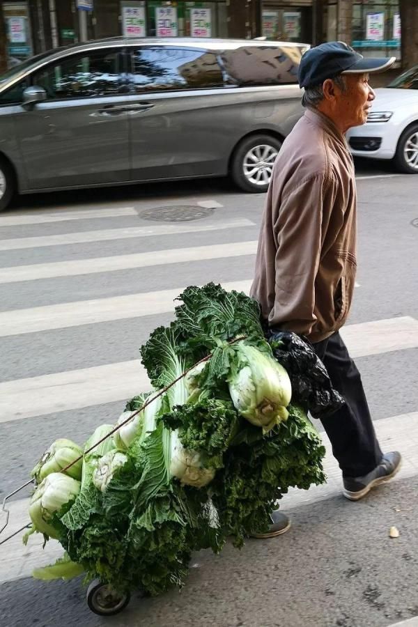 大白菜|东北一食堂上热搜！场面像“坦克大战”，这也太馋人了吧！