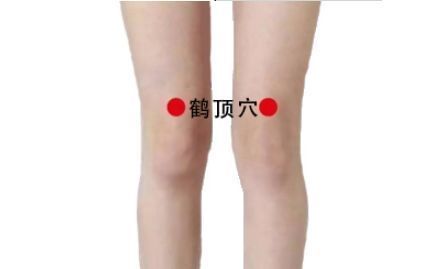 祛寒止痛|膝盖,人体中转站只需2招,祛寒止痛、引血下行,激活全身气血